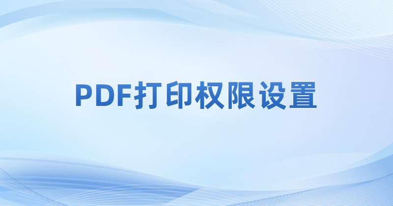 如何查看PDF打印設(shè)置參數(shù)?pdf預(yù)覽文件打印效果怎么查看?